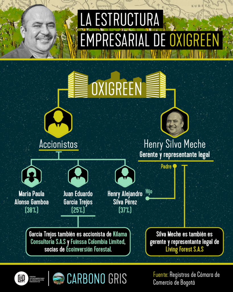 Estructura empresarial de Oxigreen, empresa que se dedica a los proyectos de bonos de carbono.