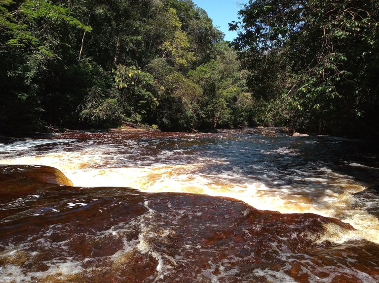 La región de selva tropical, ríos y bosques de galerías donde está ubicada Monochoa forma parte de uno de los corredores biológicos más importantes de la Amazonia colombiana.