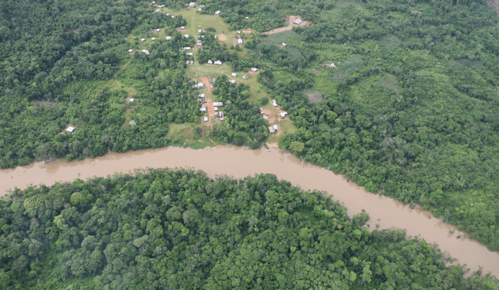 Poblado y selva