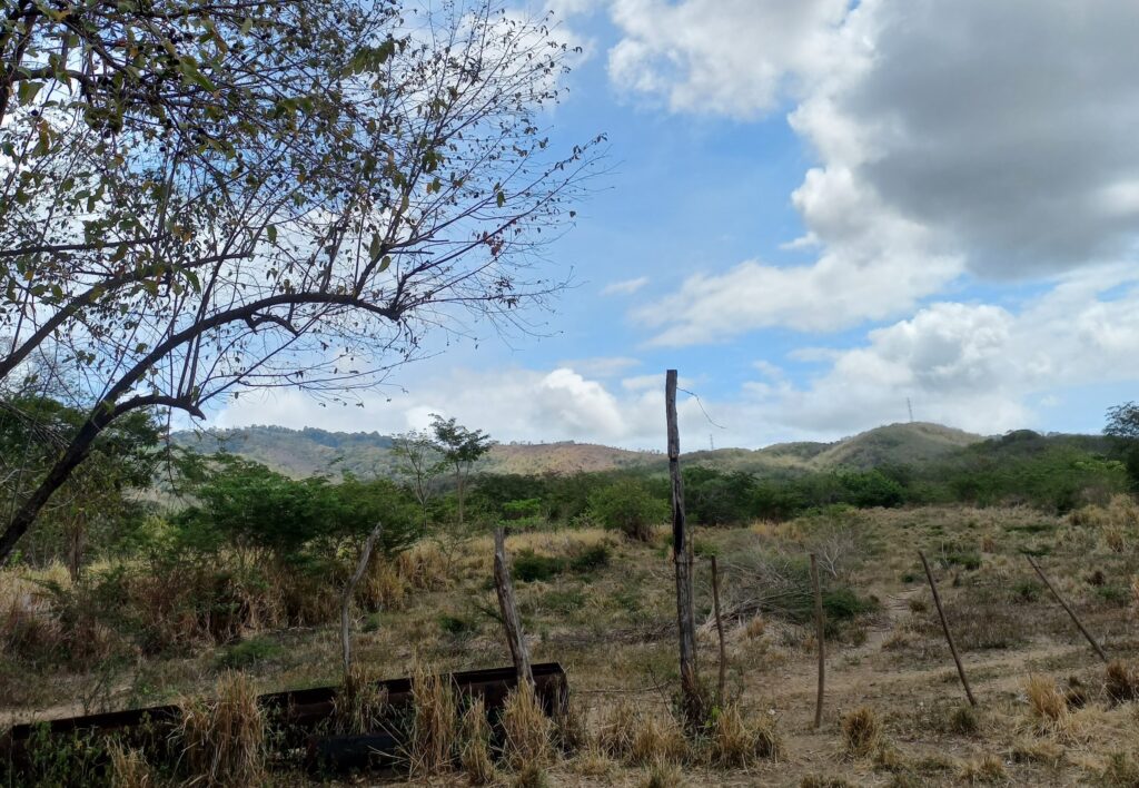 Camino a las haciendas – zona Quebrada de Agua(1)