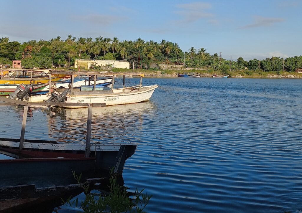 Puerto Pesquero – Terminal de Macuro