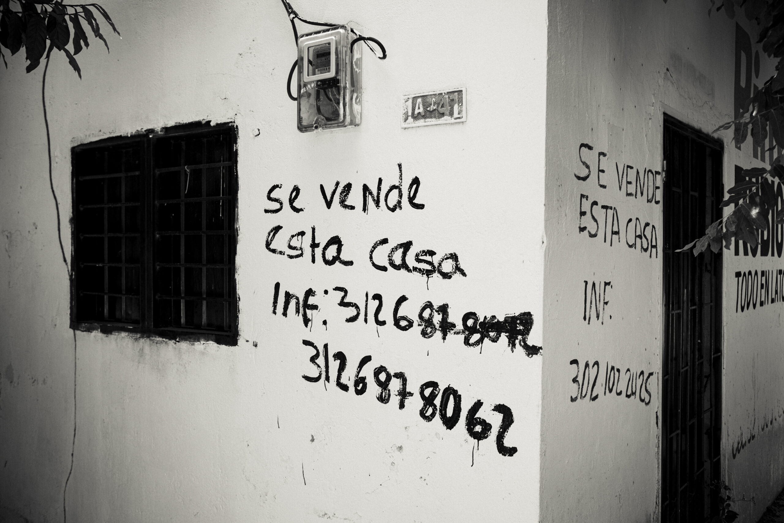 09042026-DSCF1994