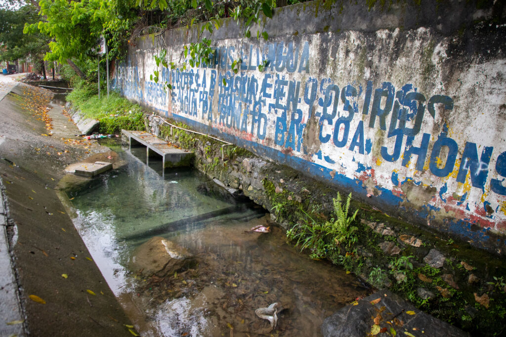2026-03-19-Corte?s-Baracoa-extractivismo5.CR2