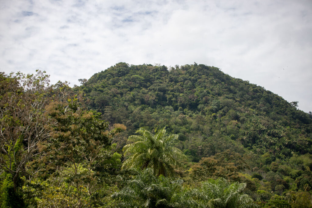 2026-03-19-Corte?s-Baracoa-extractivismo6